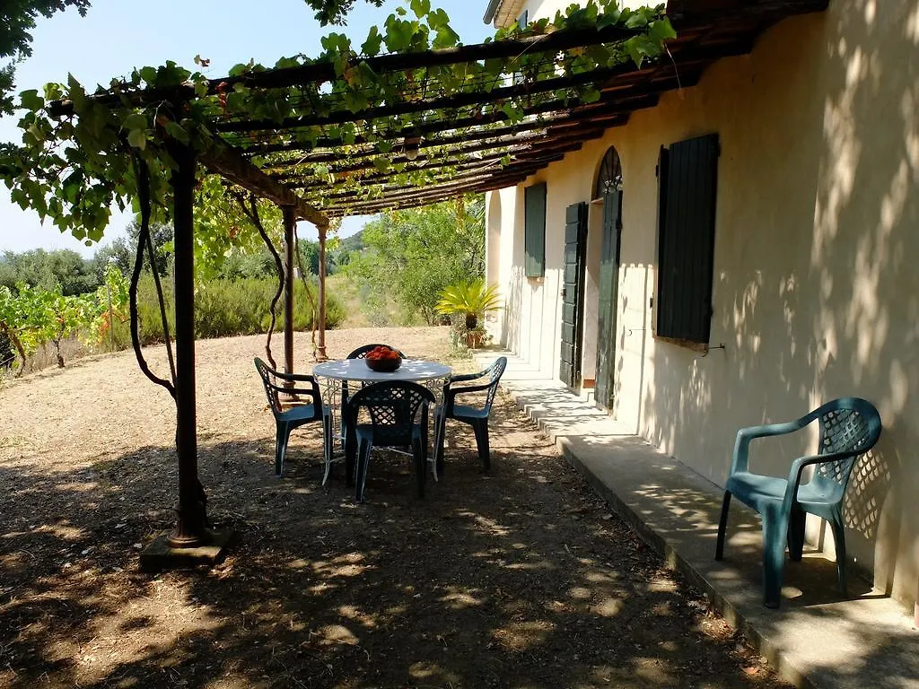 Riparbella Holiday home