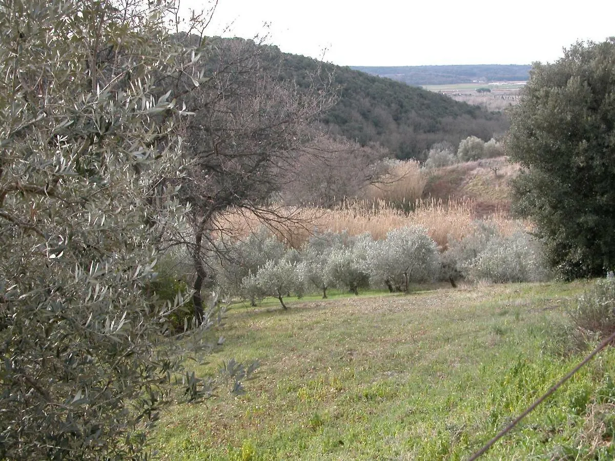 Riparbella Holiday home