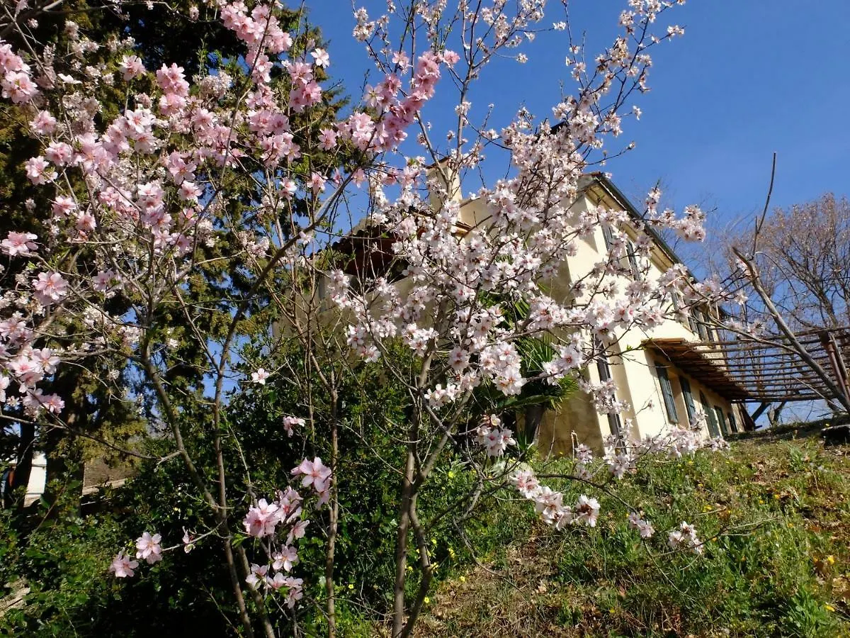 Riparbella Holiday home