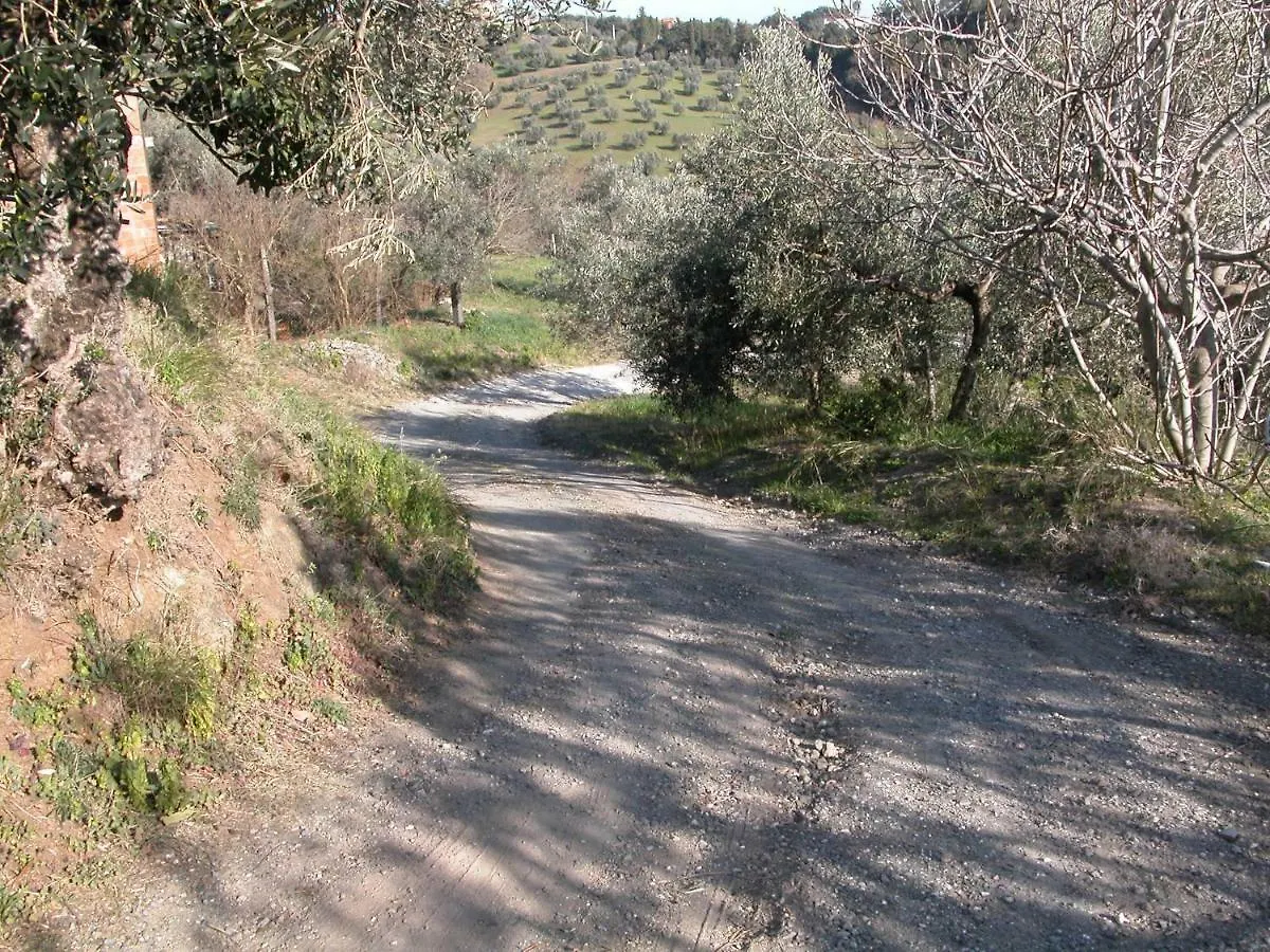 Riparbella Holiday home 0*,